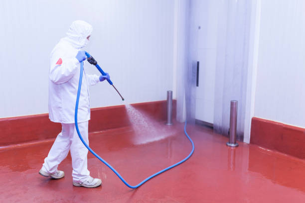 Reliable Castle Pines Village, CO Pressure Washing Services Solutions